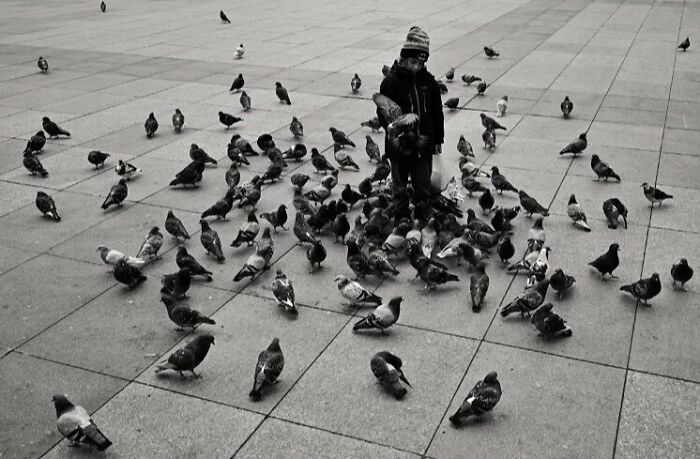 Child in winter clothes surrounded by pigeons on a city street, capturing street moments that feel like magic.