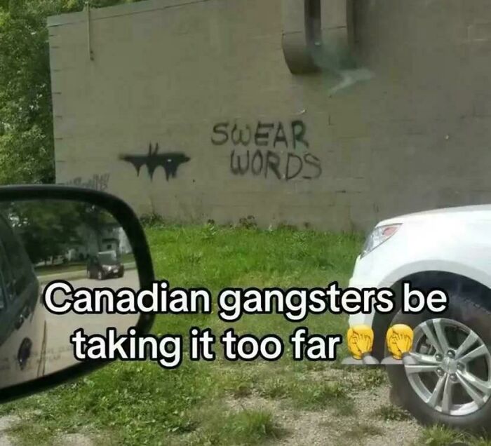 Graffiti on a wall with the phrase swear words and text about Canadian gangsters, showcasing hilarious posts humor.