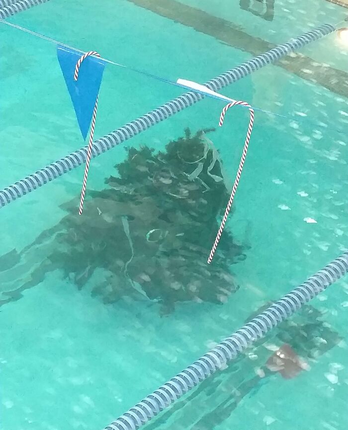 Christmas decorations creativity shown by a submerged Christmas tree in a swimming pool lane at a workplace event.