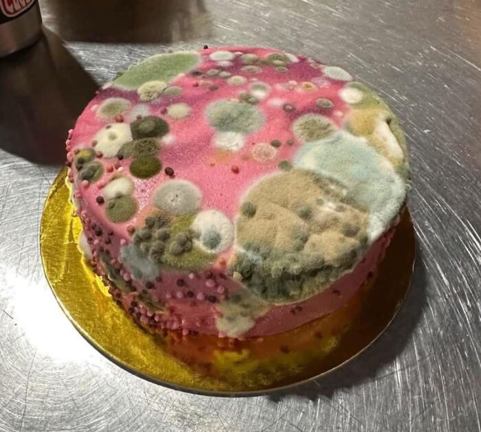 Moldy pink cake covered with green, white, and blue spots sitting on a gold base on a metal table, food pics to be shamed.