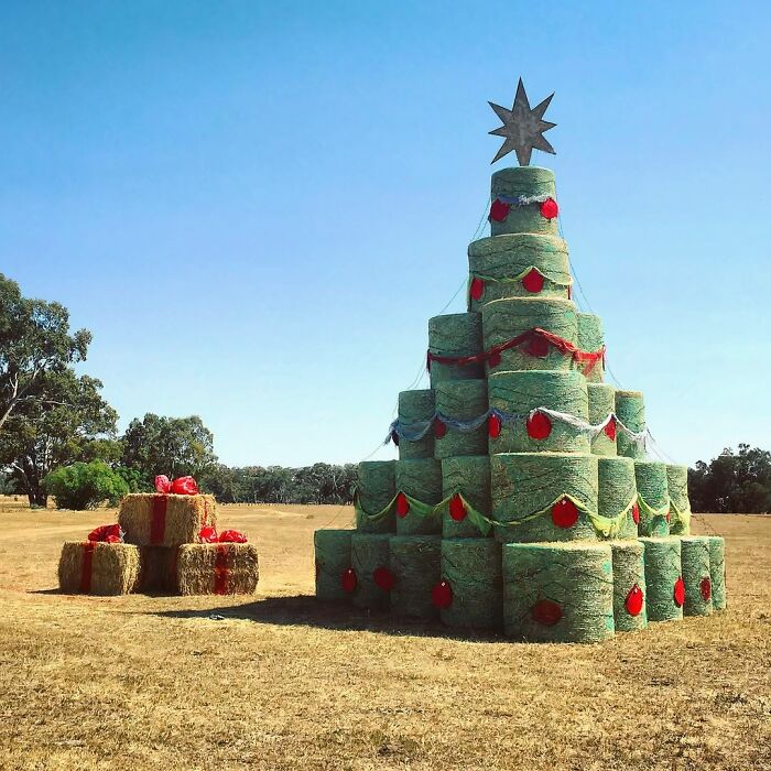 Creative Christmas decorations at workplace with hay bales stacked and decorated as a tree under clear blue sky.