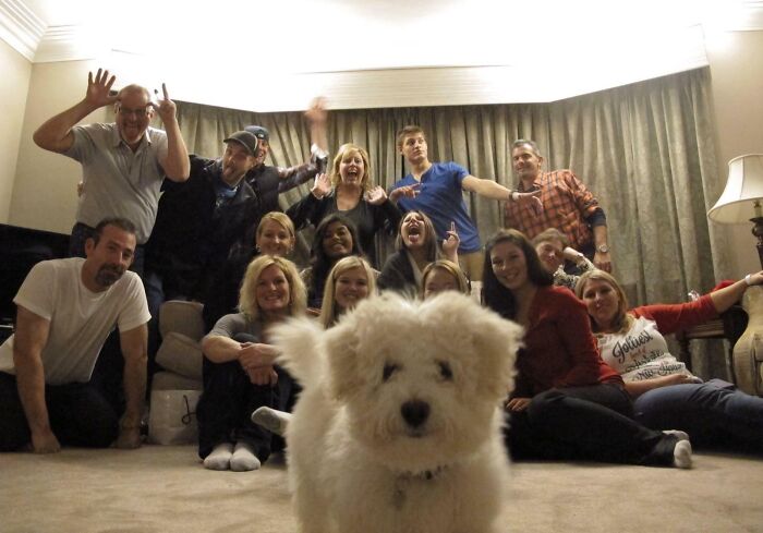 Large group of people posing indoors for awkward family Christmas photo with a fluffy white dog in the foreground.