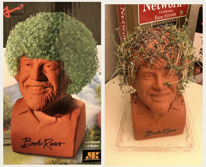 Side-by-side comparison of expectations vs reality photos showing a Bob Ross planter with sparse and full plant growth.