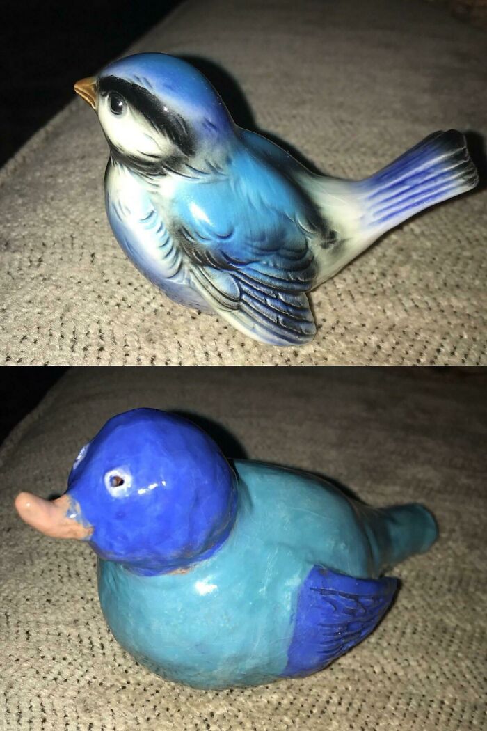 Two ceramic bird figurines showing expectations vs reality photos with underwhelming and overjoyed results.