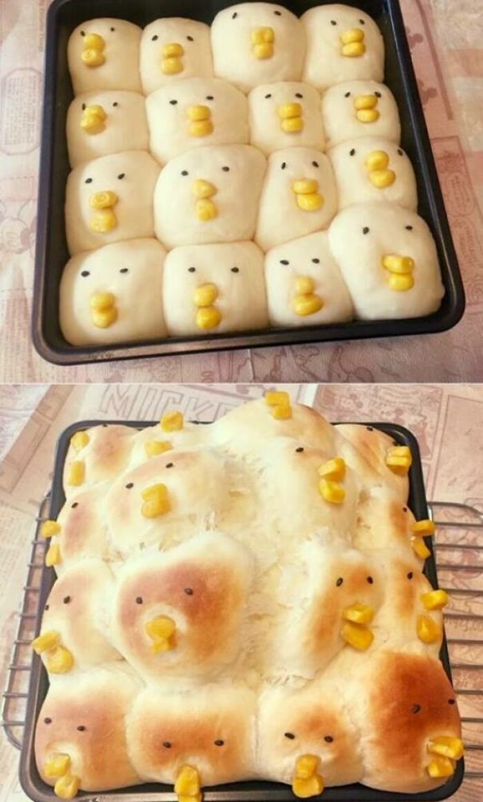 Expectation vs reality photo showing cute duck-shaped dinner rolls before and after baking with melted, misshapen features.