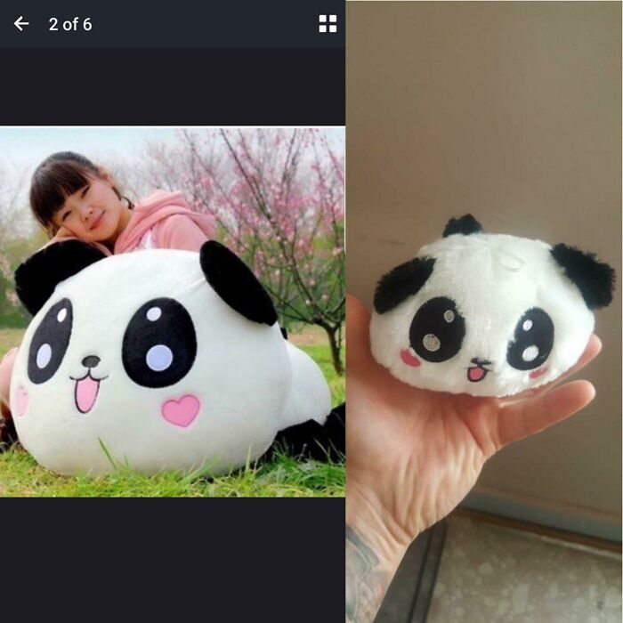 Side by side expectations vs reality photos of a large panda plush toy and a small, misshapen version.