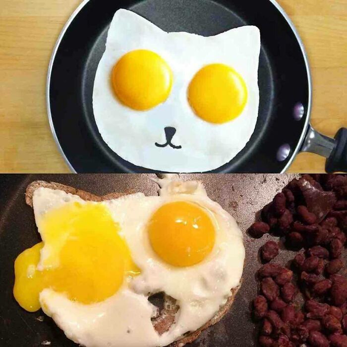 Expectation vs reality photo showing a cat-shaped egg with perfect yolks and a failed attempt in a frying pan.