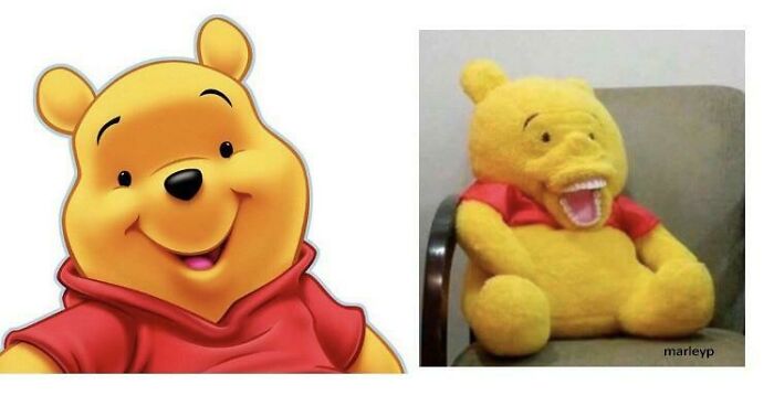Side-by-side expectation vs reality photos of Winnie the Pooh with a happy cartoon and a mismatched plush toy.