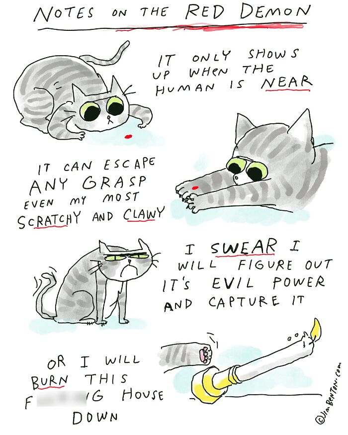 Cartoon illustrating the humorous challenges of living with cats, showing a cat's elusive nature and mischievous behavior.