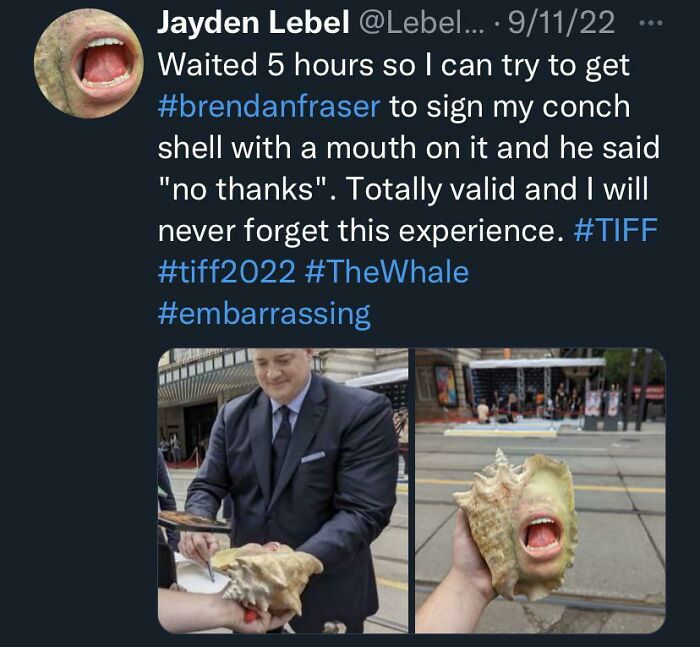 Social media post showing a humorous conch shell with a mouth, featured among hilarious posts to make you laugh.