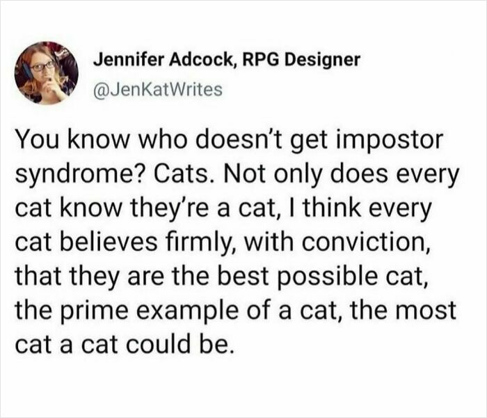 Text meme about cats confidently knowing they are the best example of cats, highlighting cats being weird little guys.