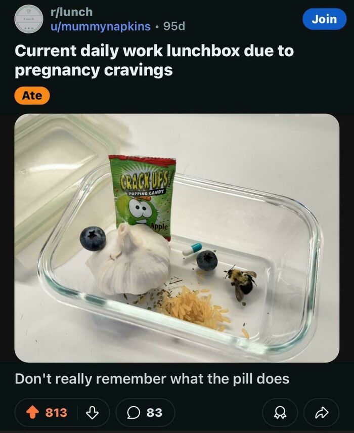 Work lunchbox with random items including garlic, blueberry, rice, pill, bee, and candy, part of hilarious posts.