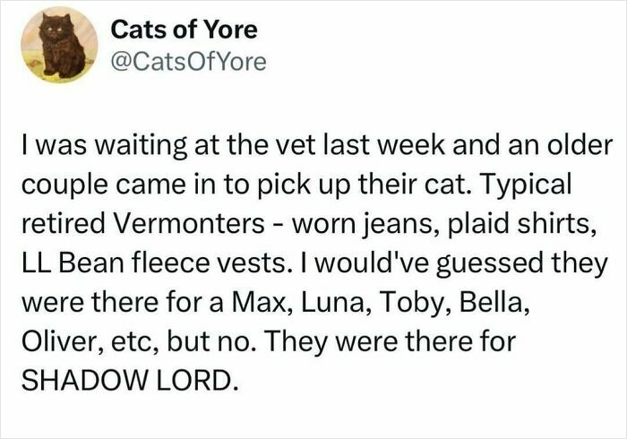 Twitter post about a vet visit, describing an older couple picking up their cat named Shadow Lord, emphasizing cats being weird little guys.