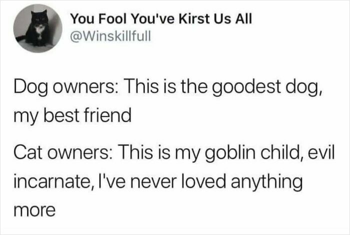 Text meme comparing dog owners calling their pets best friends and cat owners describing their cats as goblin children, showcasing cats being weird little guys.
