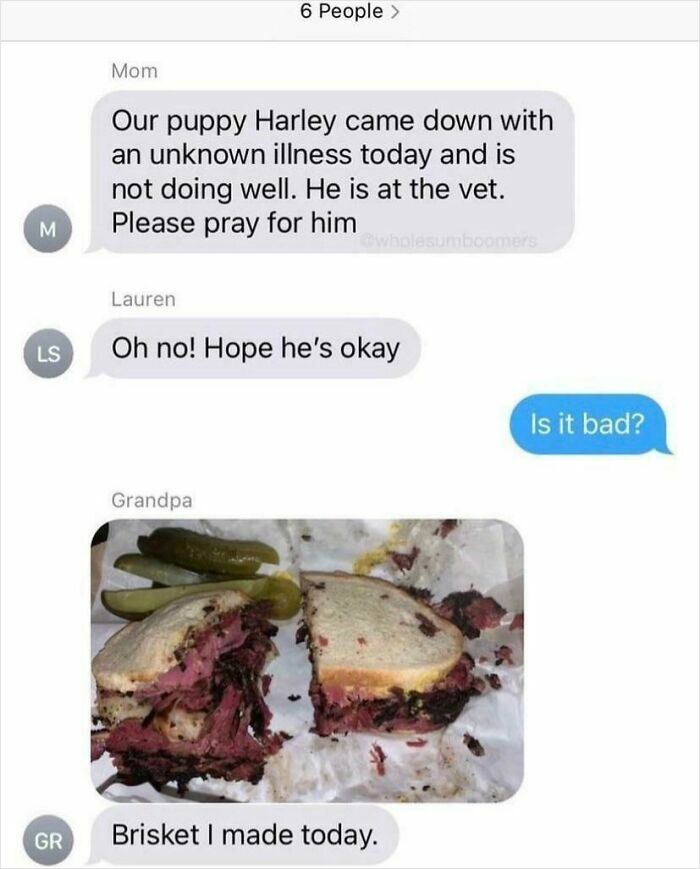 Text conversation about a sick puppy followed by a photo of a brisket sandwich, a hilarious post to make you laugh.