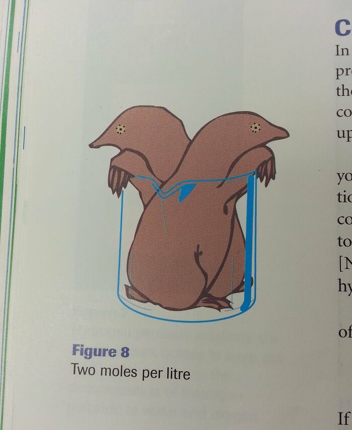 Illustration of two moles inside a measuring container as a funny science joke from hilarious posts collection.