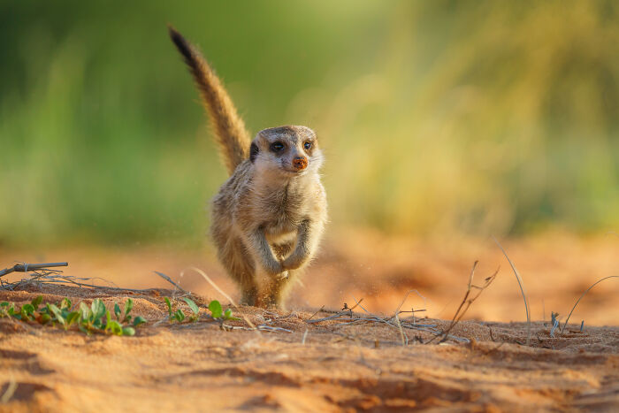 Yeah, I’m Coming, Mom!