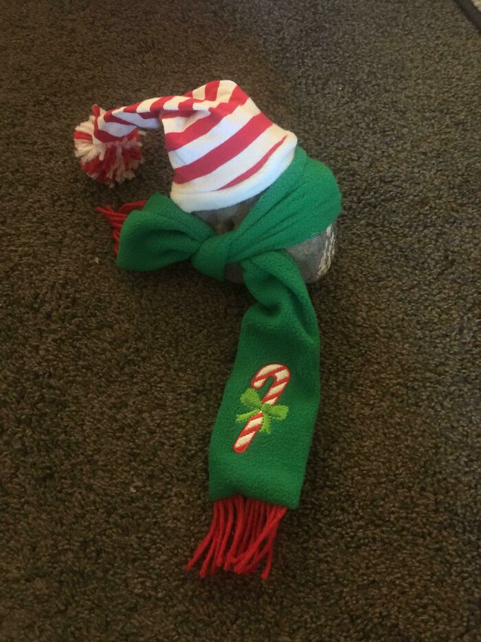 Rock dressed with a Christmas hat and green scarf as one of the most bizarre things people received as Christmas gifts.