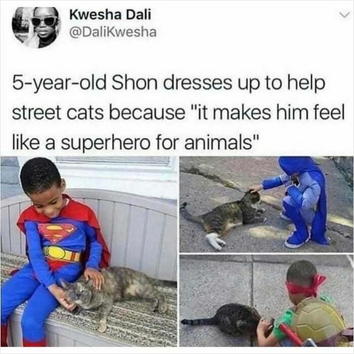 Child dressed as superhero helping street cats in wholesome and funny animal posts to cleanse your feed.