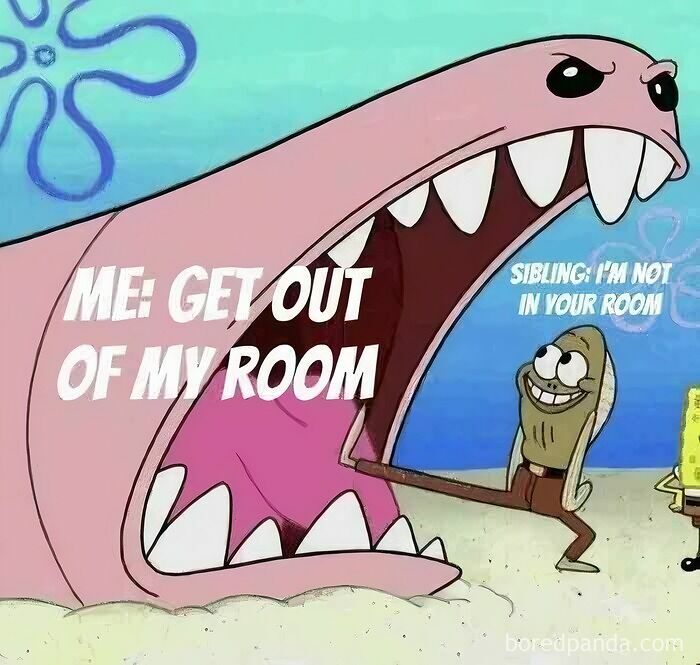 Cartoon meme showing a sibling arguing about room boundaries, capturing sibling relationship humor and dynamics.
