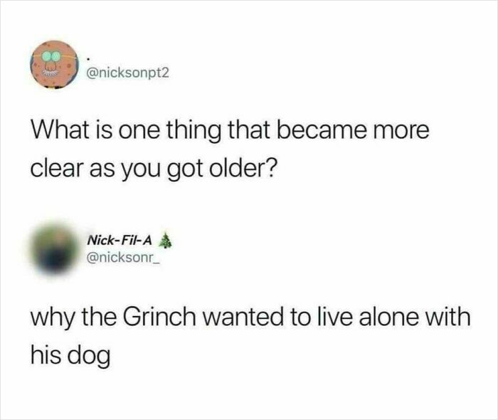 Funny Christmas meme text about understanding why the Grinch preferred living alone with his dog as you get older.