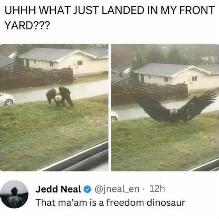 Humorous meme showing police and a large eagle with caption about a freedom dinosaur from Know Your Meme collection.