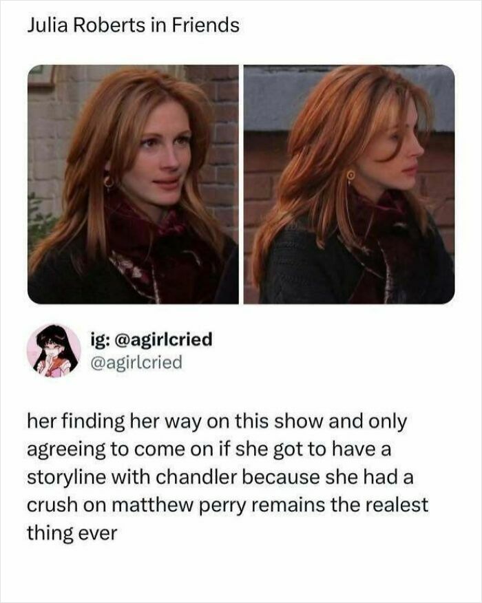 Two images of Julia Roberts in Friends with text about her storyline and crush, a classic example of Know Your Meme content.