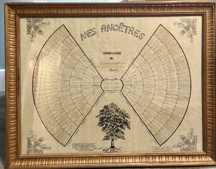 Framed vintage family tree genealogy chart with detailed ancestral names and decorative corner designs.