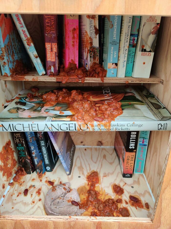 Next-Level Jerks bookshelf smeared with spilled chili and beans, books soaked and shelves covered in mess