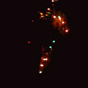 stefankaradja_com avatar