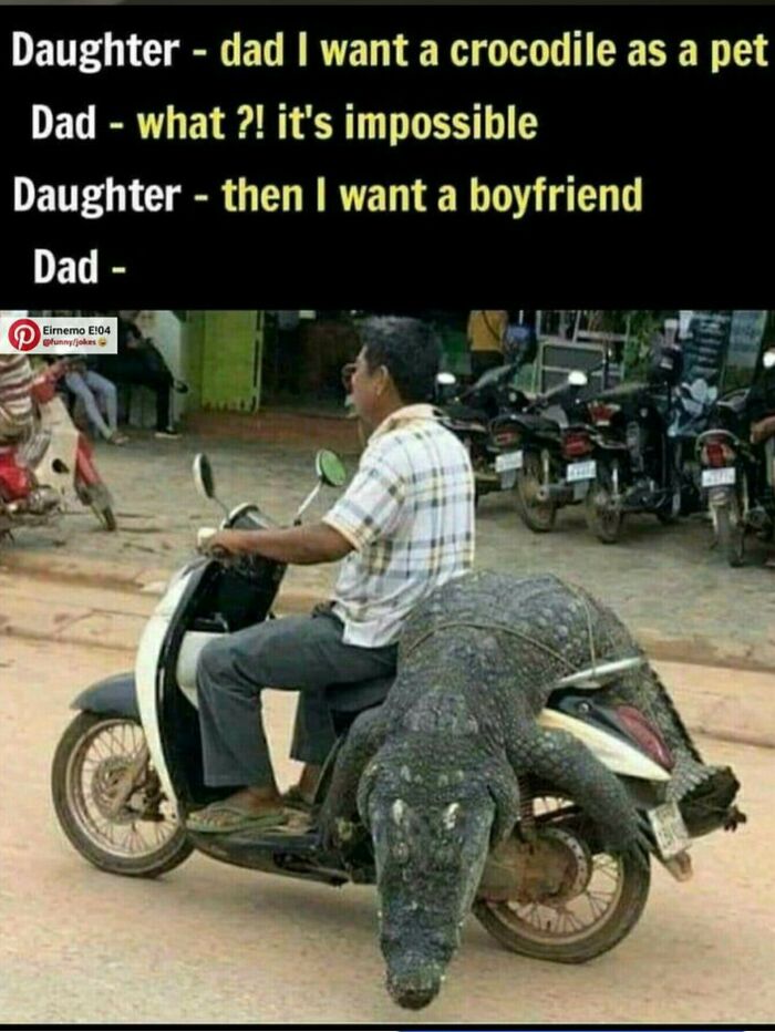 Man riding a scooter with a large crocodile, a funny meme to help you disassociate in a fun way.