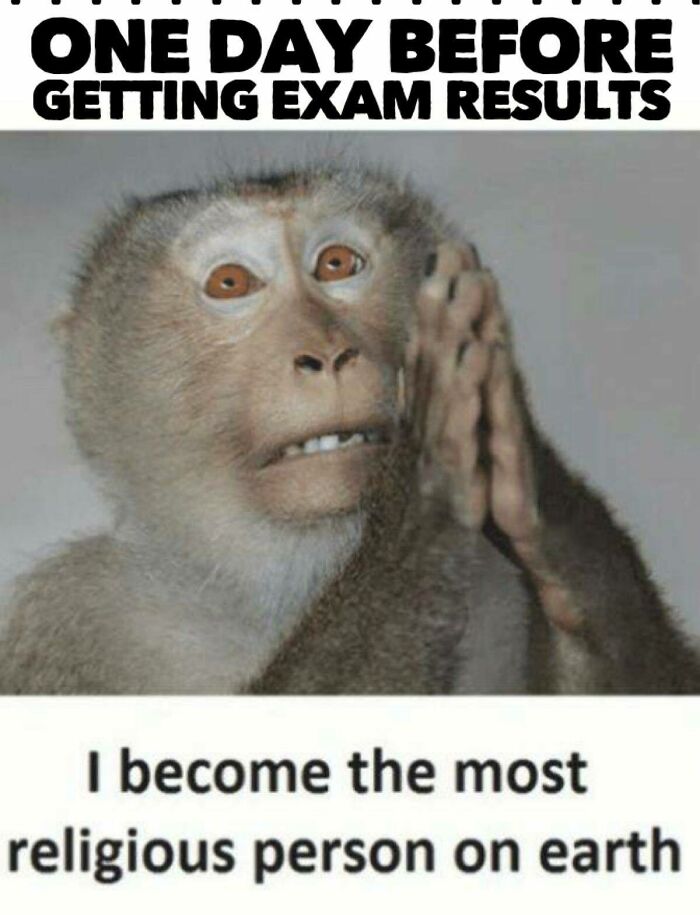 Monkey with anxious expression and hands together, caption about prayer anxiety one day before exam results, funny meme for disassociate.