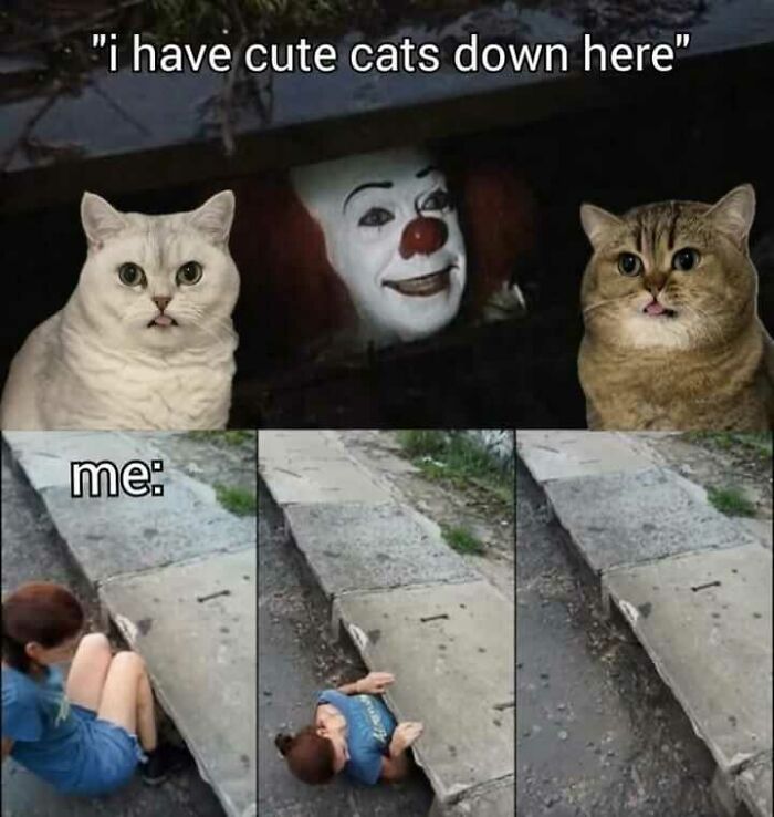 Meme showing a creepy clown with cats and a person humorously disassociating by hiding underground.