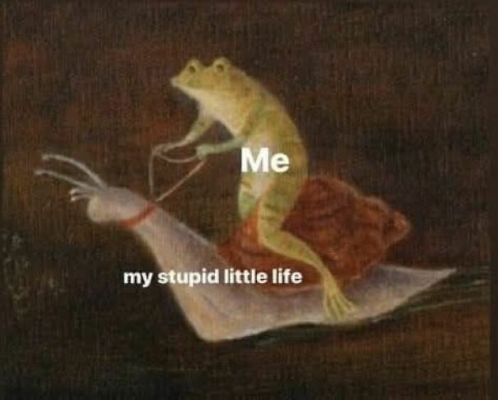 A frog labeled Me riding a snail labeled my stupid little life, a funny meme to help you disassociate.