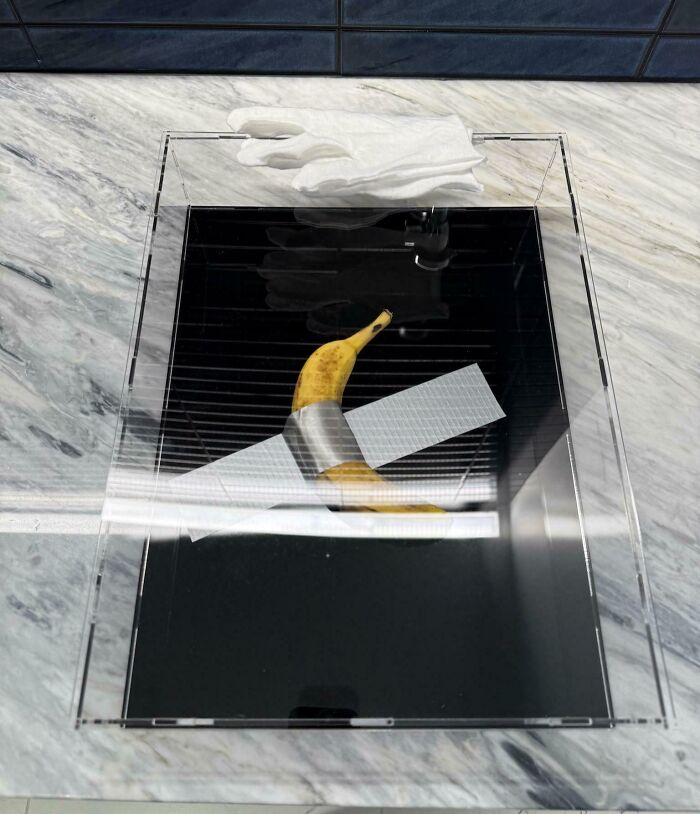 A banana duct-taped to a black board displayed as one of the most bizarre Christmas gifts in a clear case.