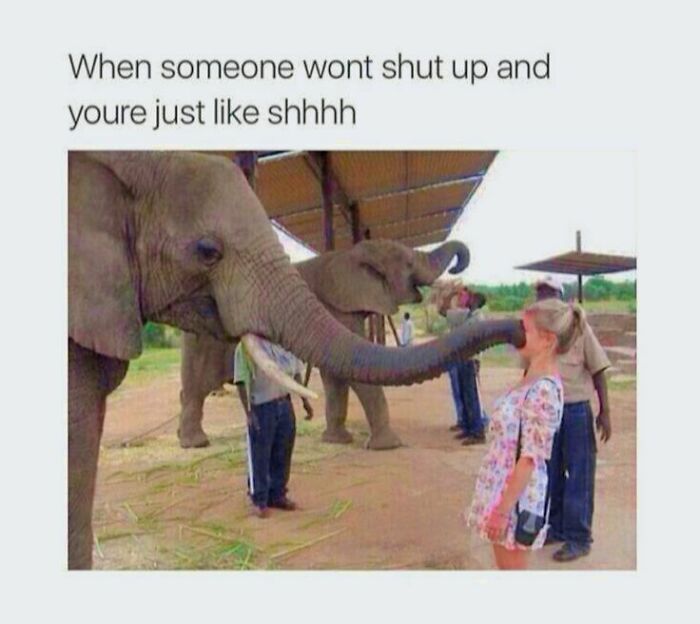Elephant covering woman's mouth with trunk in a funny meme about disassociating and staying quiet.
