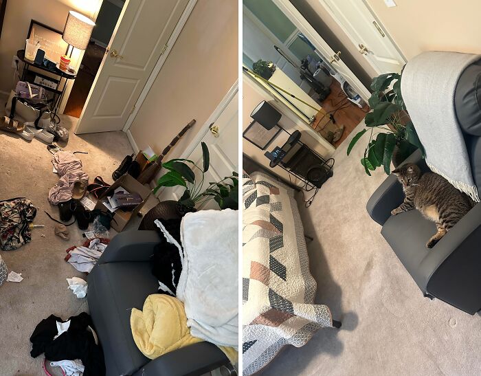 Living room before and after being cleaned, showing clutter cleared and tidy space with a cat resting on a chair.