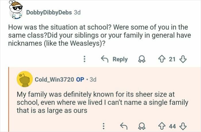 Reddit user with 21 siblings discusses unique family size and school experiences related to having many siblings.