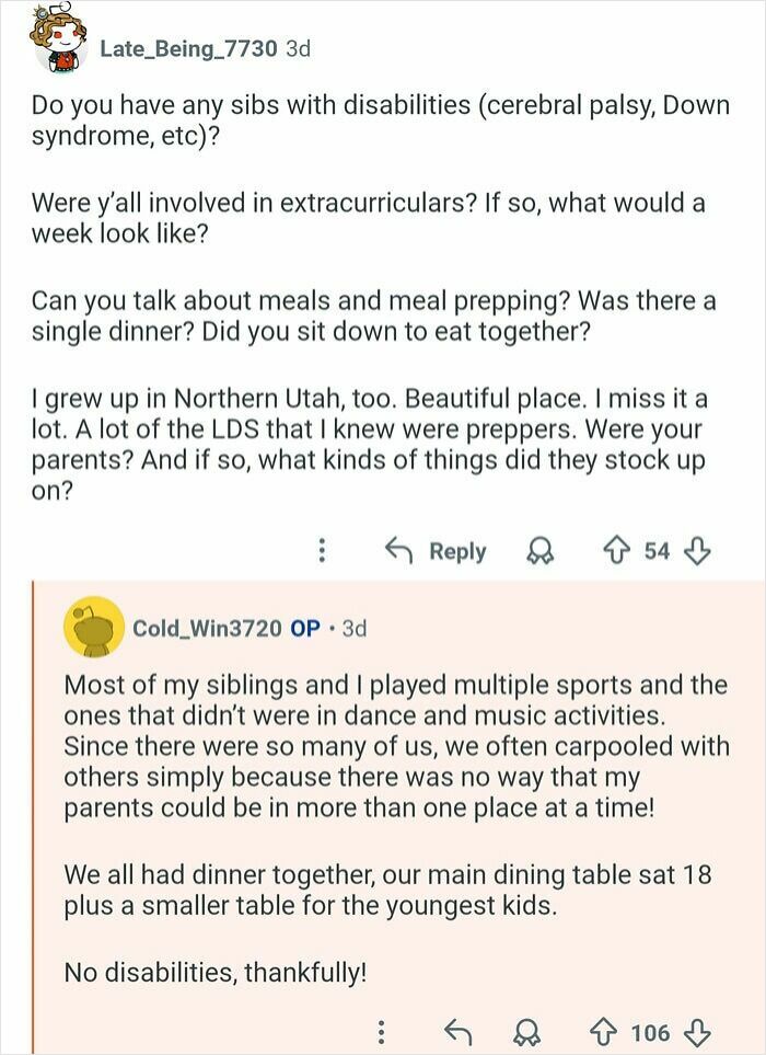 Reddit user with 21 siblings discusses family life, sports, meal routines, and managing a large household logistics.