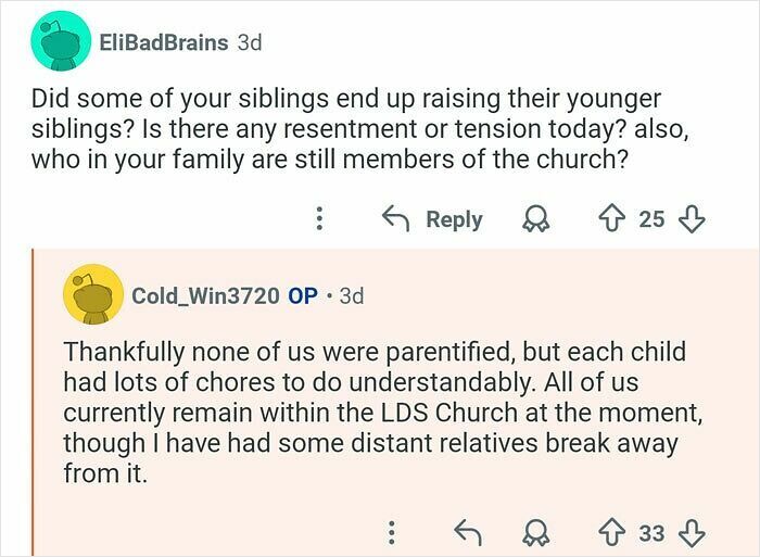 Reddit user with 21 siblings discusses family dynamics, chores, and involvement in the LDS Church in a Q&A format.