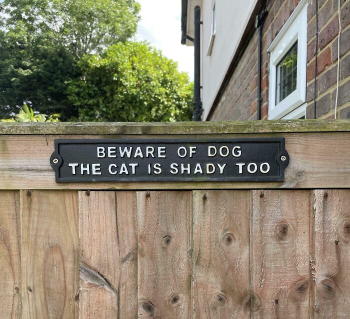Funny pictures sign on wooden fence warning of dog and shady cat, capturing the weirdness of 2025 with humor outdoors.