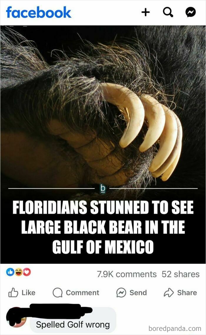 Close-up of large black bear claws with a humorous Facebook comment showing failed attempt to correct spelling.