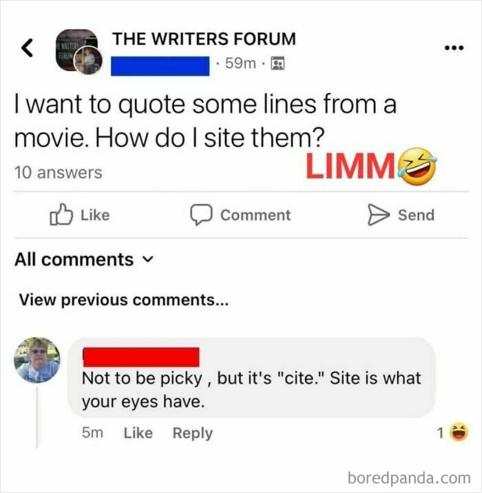 Screenshot of a humorous online forum post showing a failed attempt to correct a grammar mistake in a funny way.