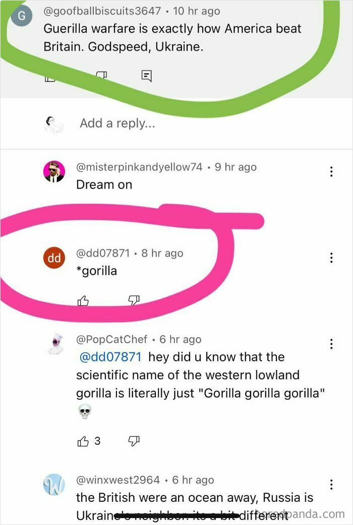 YouTube comment thread showing funny spelling correction with highlighted text illustrating failed attempts to fix others.