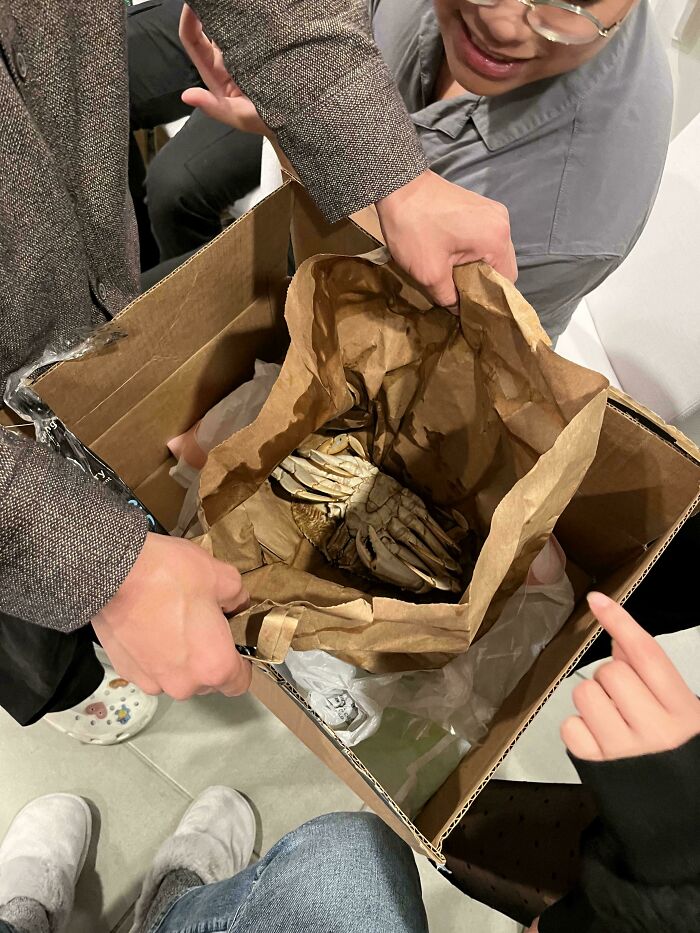 Person unwrapping a hilariously bad Secret Santa gift showing a crab wrapped in brown paper inside a cardboard box.