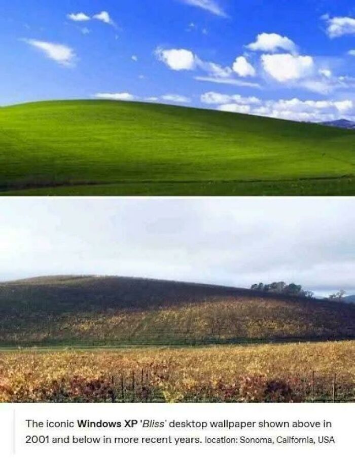 Famous Windows XP Bliss wallpaper hill in Sonoma, California, seen as vibrant green and later in natural autumn colors.