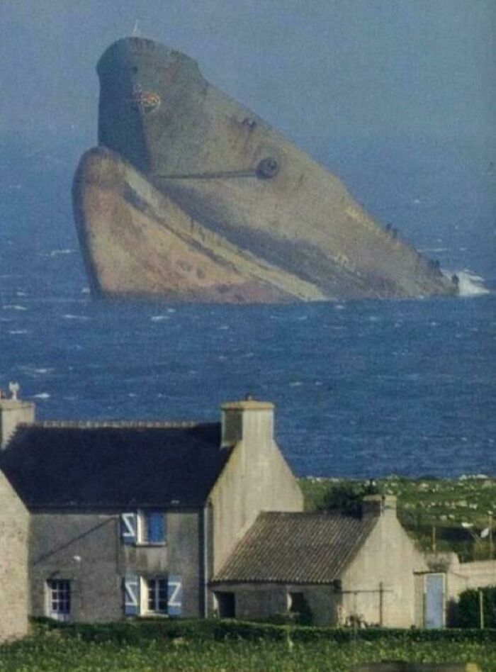 Rusty shipwreck emerging from the ocean near coastal houses, an interesting sight people shared on the internet.
