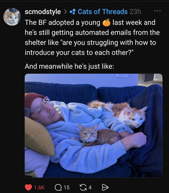 Man relaxing on couch with two cats, illustrating the cozy joy cat memes bring to their happy place fans.