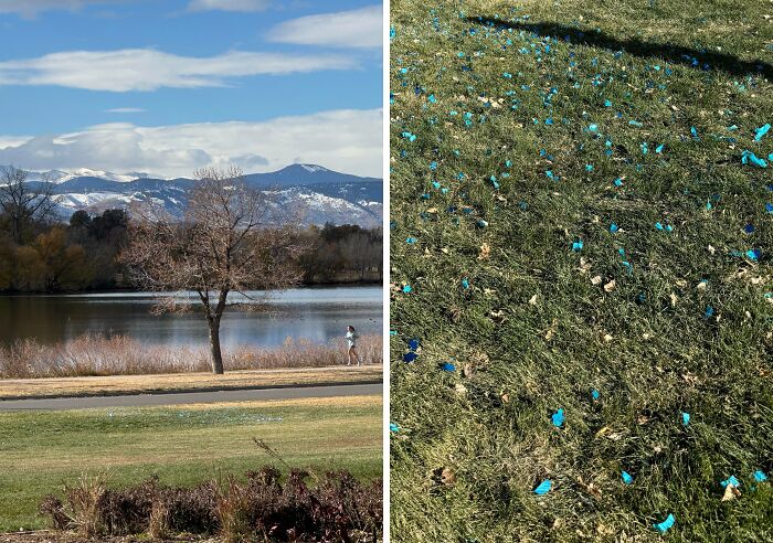 Split image: lakeside walker with snowy mountains left; lawn strewn with shredded blue balloon pieces — next-level jerks