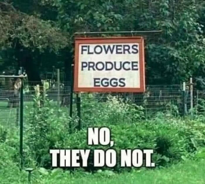 Funny stupid signs pic showing a garden sign saying flowers produce eggs with a caption denying the claim.